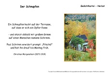 Der-Schnupfen-Morgenstern.pdf